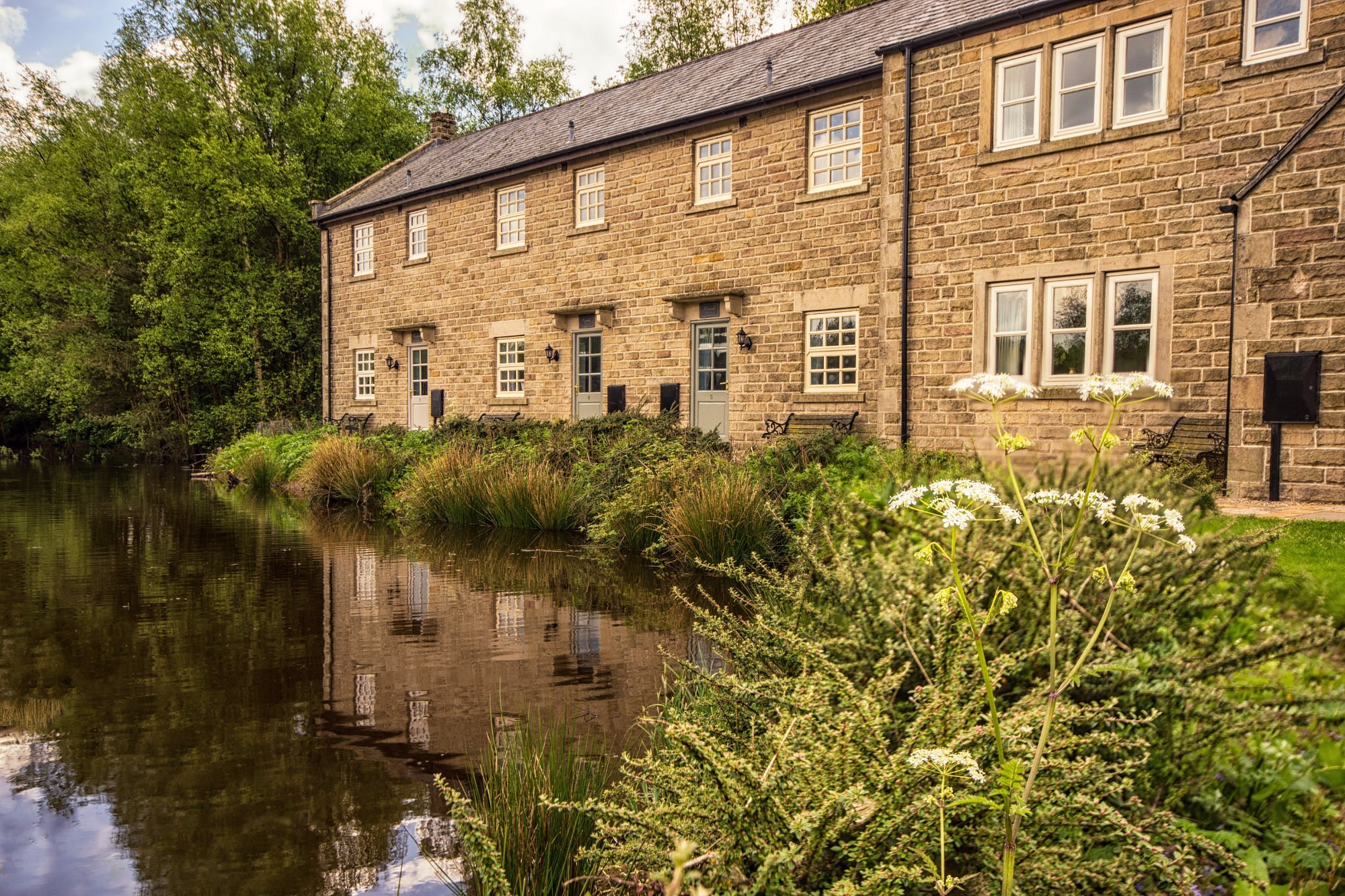Perfect Venue for Groups, Retreats & EventsHost your family gathering, corporate away day, or celebration in our spacious cottages and 20-acre countryside estate.Plan Your Group Stay